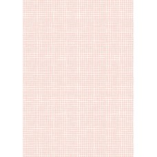 Lewis & Irene Bella Bunny and Bear - Pink check